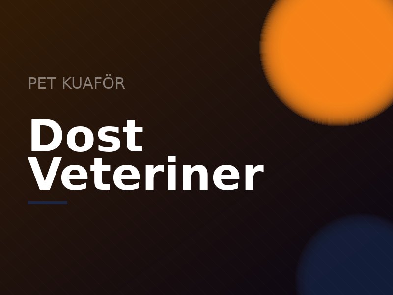 Pet kuaför salonunda bakım gören bir köpek